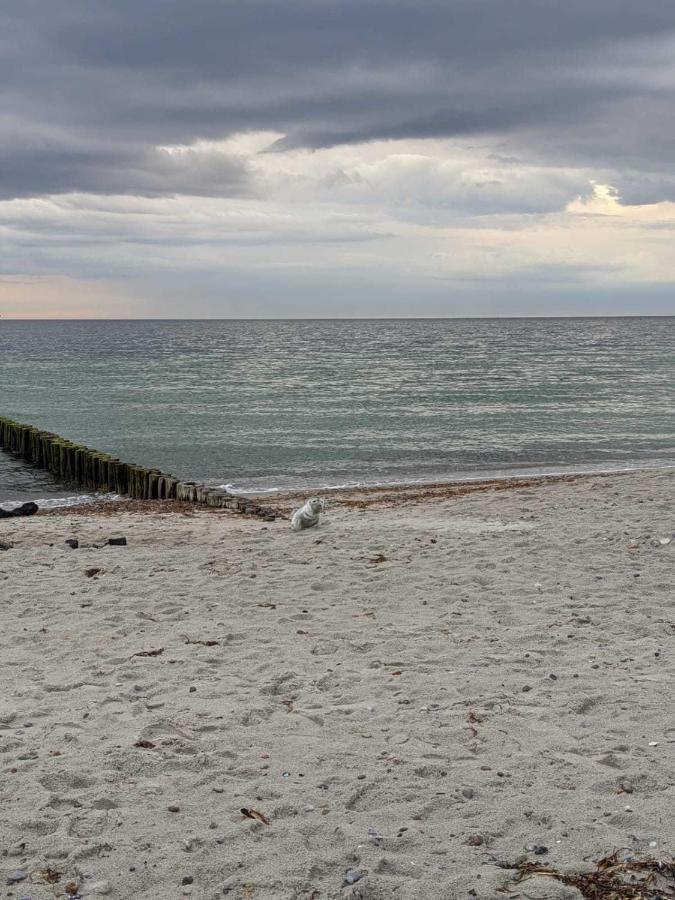 Appartement Sundevit Borgerende-Rethwisch Bagian luar foto